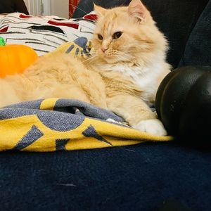 Meet your Posher, Claire